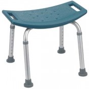 Bath And Shower Seat