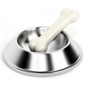 Dog Bowls and Feeders