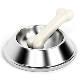 Dog Bowls and Feeders