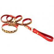 Collar, Leash & Harness