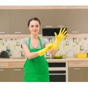 Eco-Friendly Kitchen Cleaners