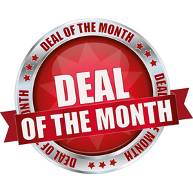 Monthly Special - Bed Rails