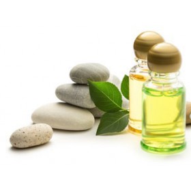 Natural Shampoo & Conditioner