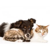 Pets Natural Products