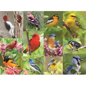 Alzheimers And Dementia 36Pcs Puzzle - Birds-Feather