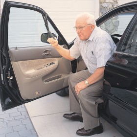 Car Caddie in and Out of Car Strap With Handle