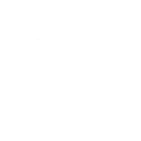 Standard Hospital Bed Full Electric